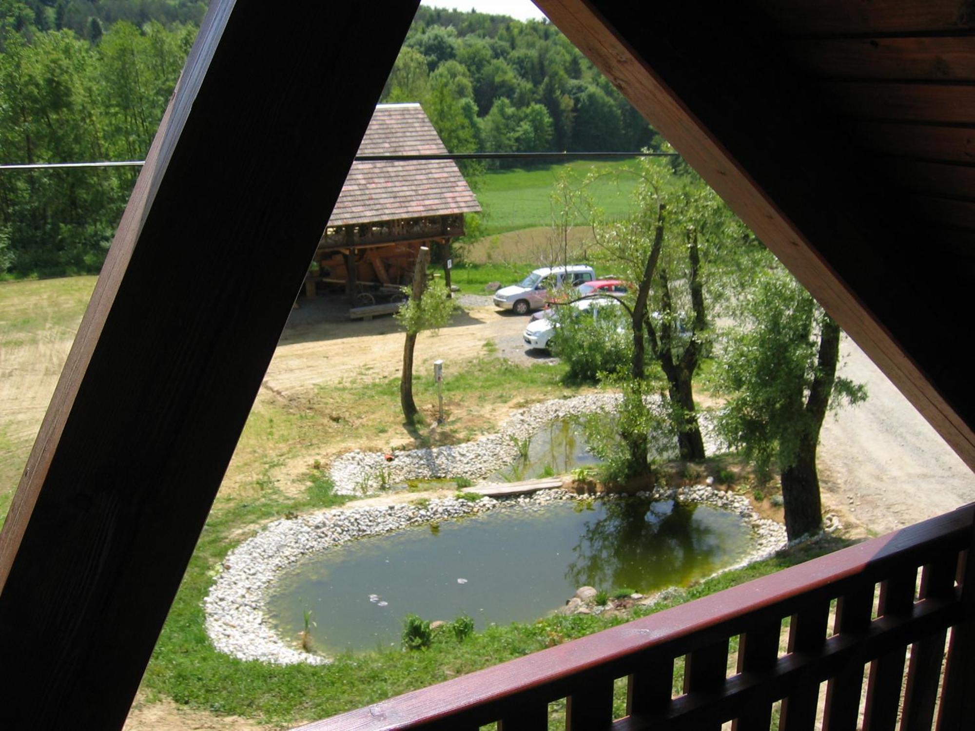 Turisticna Kmetija Cebelji Gradic Apartment Rogasovci Ngoại thất bức ảnh
